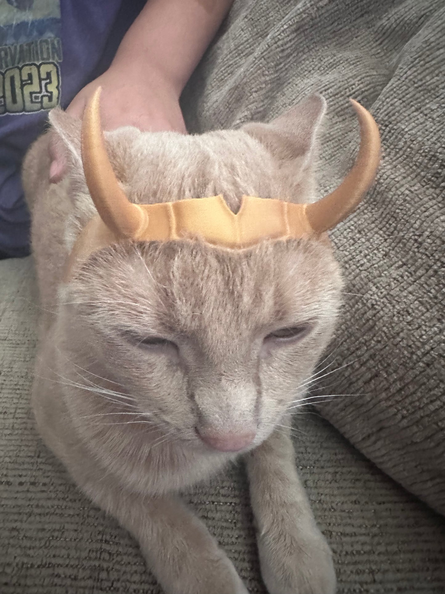 Loki cat crown